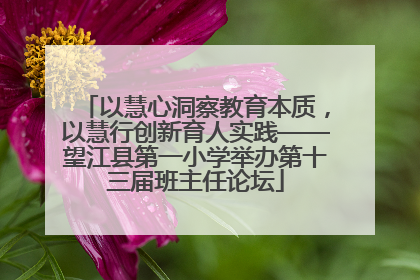 以慧心洞察教育本质，以慧行创新育人实践——望江县第一小学举办第十三届班主任论坛